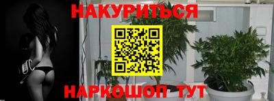 мяу мяу мука Ликино-Дулёво