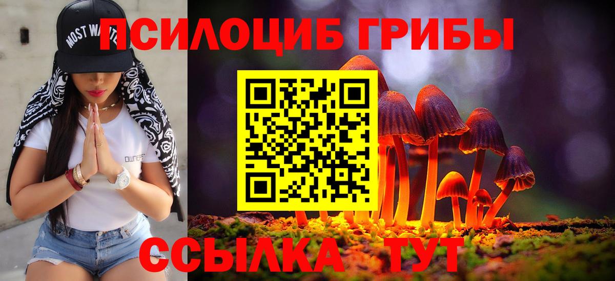 Псилоцибиновые грибы Psilocybine cubensis Ессентуки