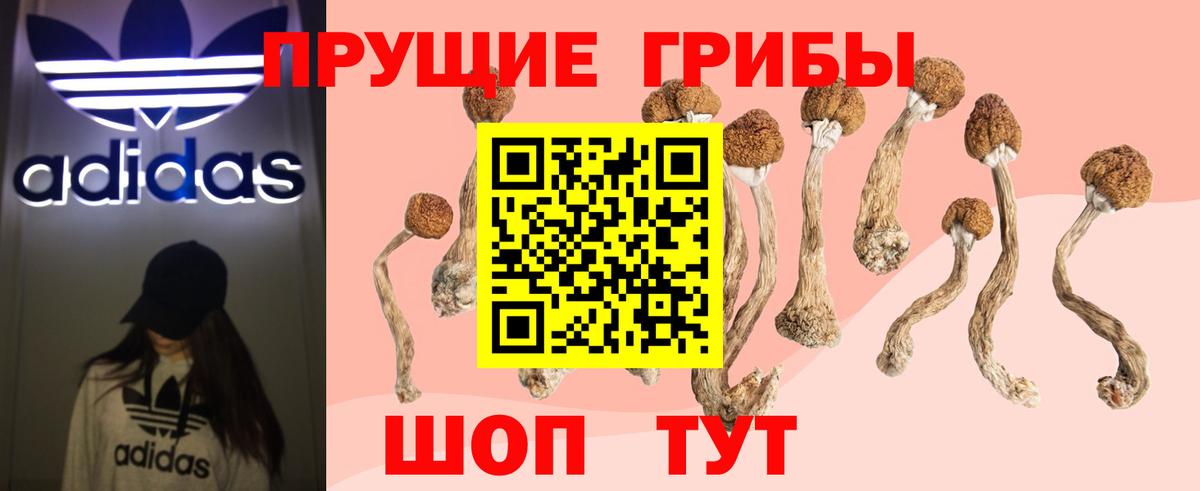 Галлюциногенные грибы ЛСД  Галлюциногенные грибы Psilocybine cubensis  Ессентуки  Вход с VPN 