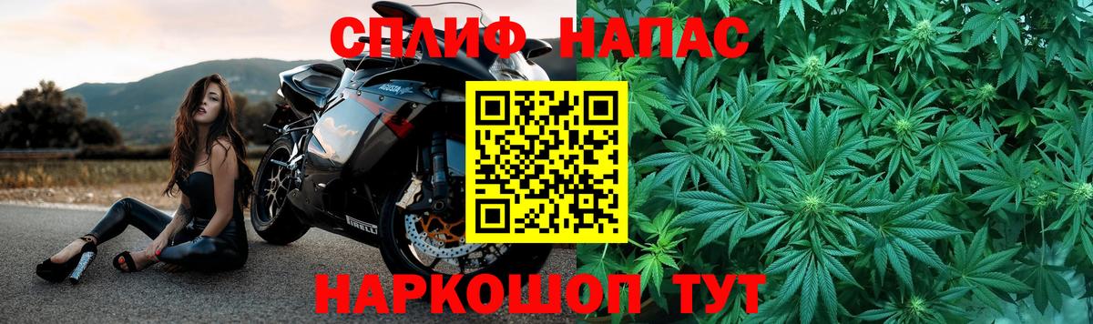 Бошки марихуана сатива Ессентуки