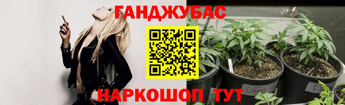 Бошки марихуана гибрид  МАРИХУАНА конопля  Ессентуки  Конопля сатива  Вход с VPN  Бошки Шишки планчик 